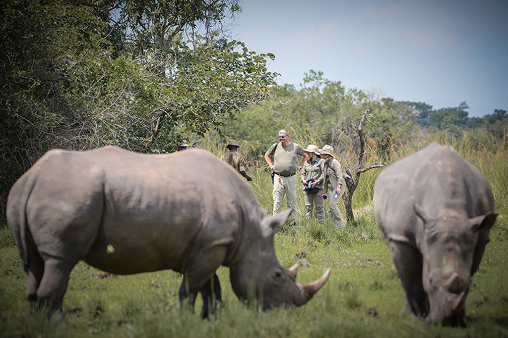 Ziwa-White-Rhino