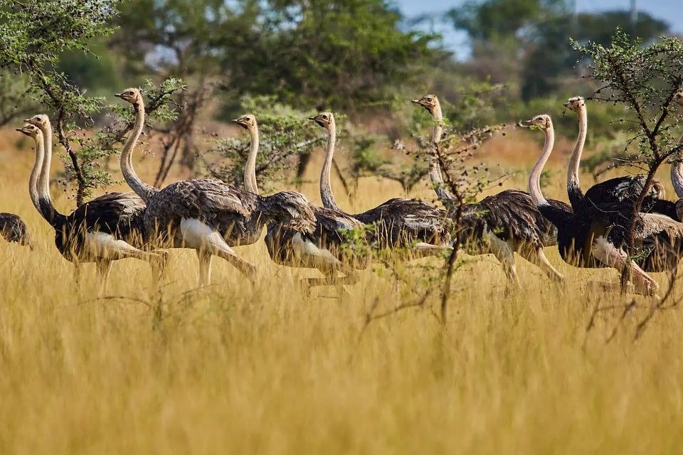 Kara-Tunga-Matheniko-Bokor-Wildlife-Reserve